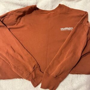 Hollister brown sweater